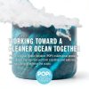 Recycled Ocean Plastic Razor by POPI 5 Blade-6